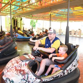 Bumper Cars